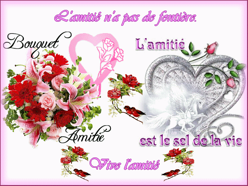 poème sur  l’amitié  L-amiti--sel-de-la-vie-copie-1