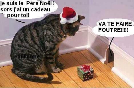 18 décembre 2017 * titeufette59 Chat-noel-_n