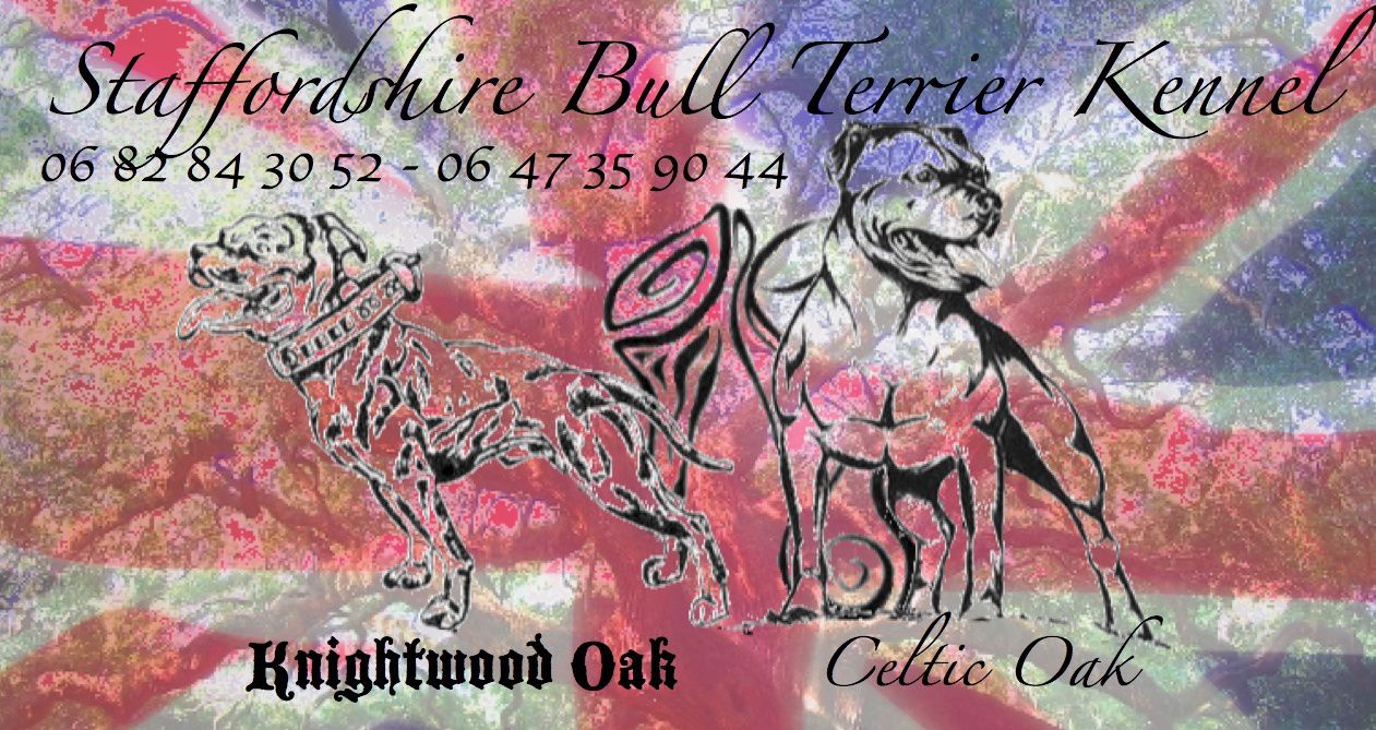 Celtic Oak Update - http://www.staffordshirebullterrier-celticoak.com/ Logo-sites-oak-uj-KO-CO-copie-1