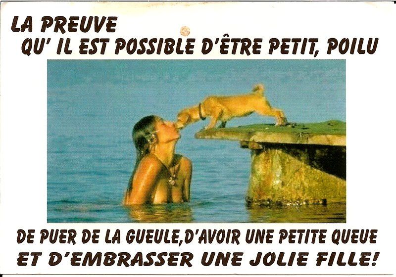 Humour en image - Page 22 Humour-