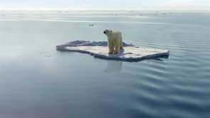 À propos du réchauffement climatique Ours-polaire