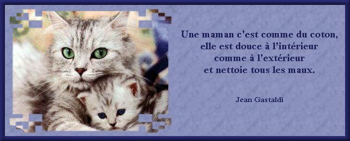 Nouvelles citations pour vous  quand je trouve?? Citation-mamans