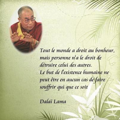 Présentation à contre-courant et en rétro pédalage - Page 4 D-dalai-lama-1