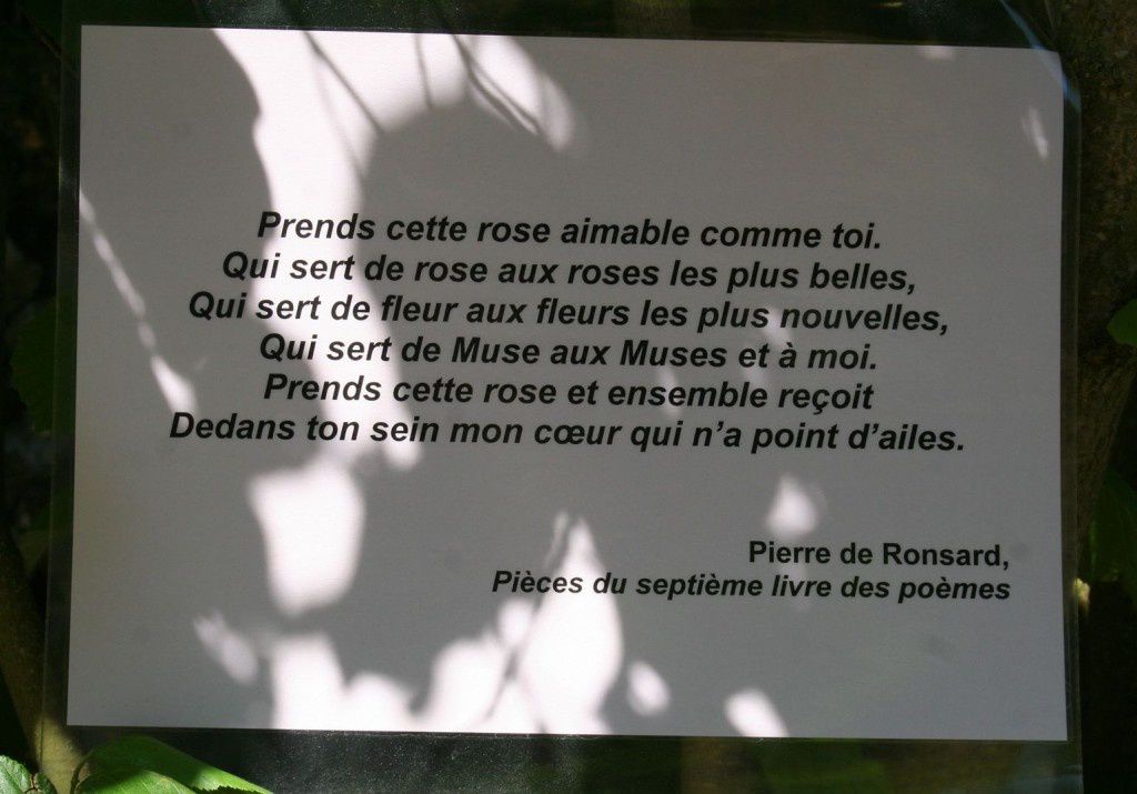 Petites citations diverses Poeme-1024x715