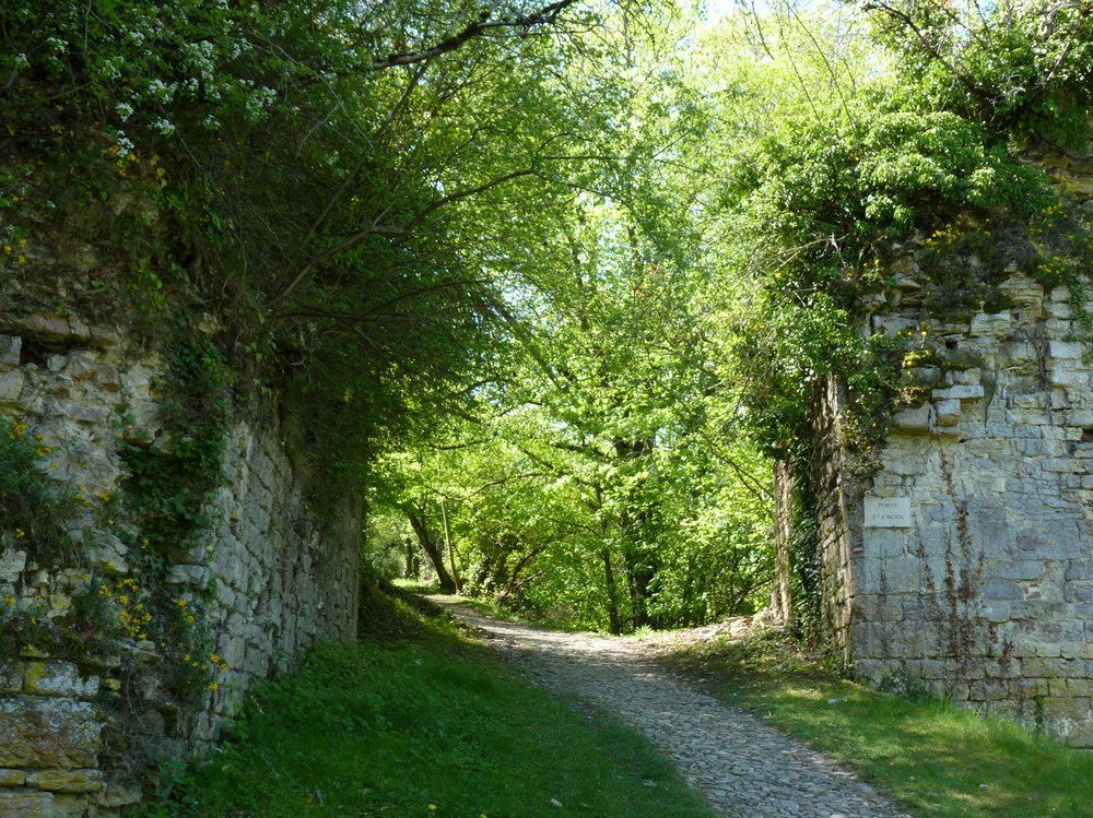 Bonne Dimanche Vezelay03