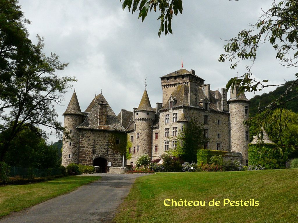 Les Chateaux de René no 20 Trouvé par Blucat30 - Page 2 Polminhac_45727_Chateau-de-Pesteils