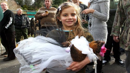 Najbizarnija i najluđa natjecanja na svijetu Mrtvi-oposum