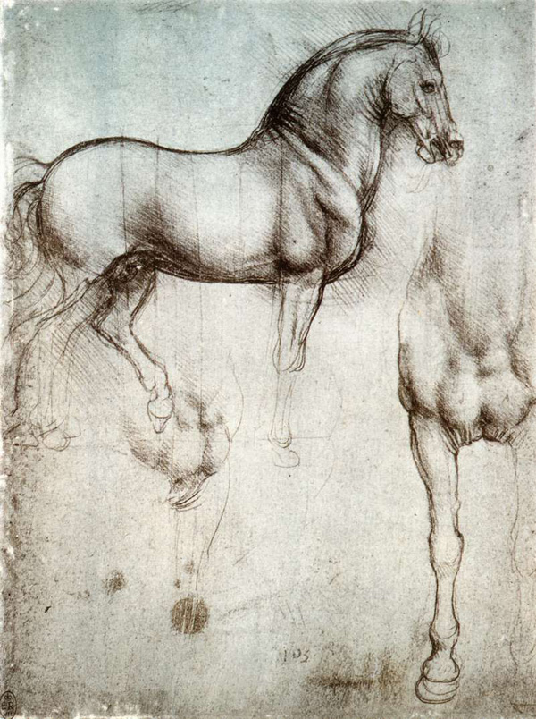  Leonardo da Vinci Study_of_horse