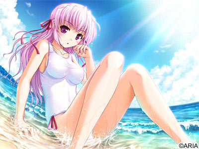 Visual Novel Collection C666378sample9