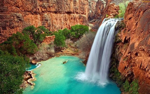 " Красотата за всеки е различна. Тя се крие дори в най - малкия предмет. "  Havasu_falls_arizona-normal2_0