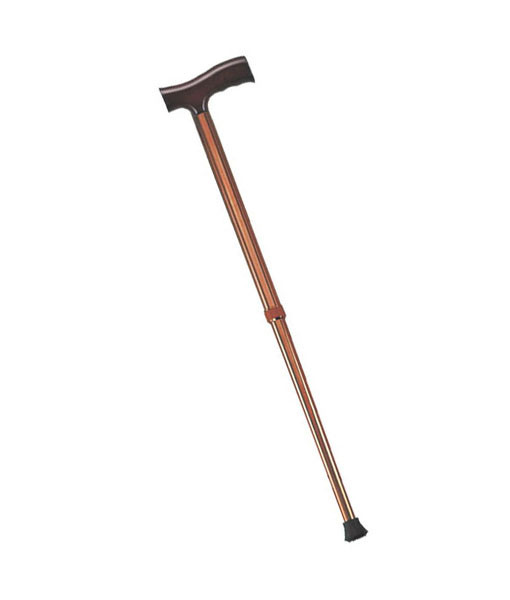 Things That I Like Walking-Stick-T-Handle-510x600