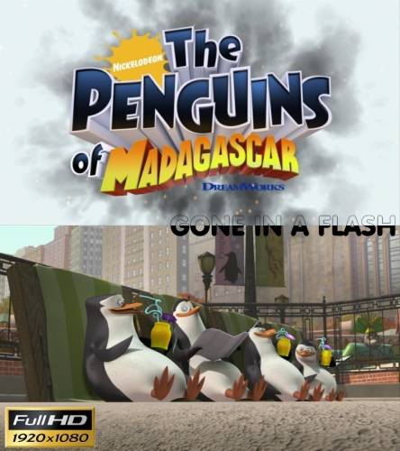 لقات المسلسل المضحكThe Penguins of Madagascar مترجم وعلى أكثر من سيرفر Ff602c2ffd4d63c96228fe7254e07e09