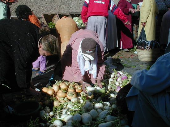 METIERS AU MAROC HIER ET AUJOURD'UI - Page 5 Autres-alimentation-safi-maroc-1029644631-1139974