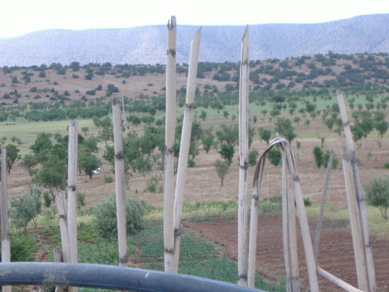 village amassin قرية اماسين Autres-campagne-maroc-3590814472-873098