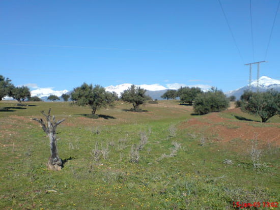  جولة بمدينة الادجيبة بالجزائر Autres-ciel-el-adjiba-algerie-1257846213-1287191