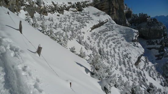 insolite Autres-insolite-grenoble-france-1060518394-1287302