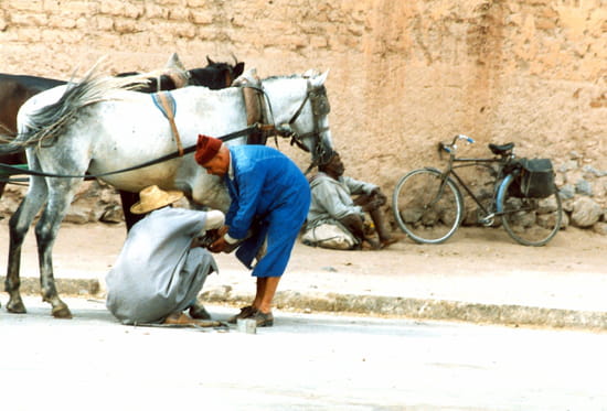 pensées...pour positiver.. - Page 3 Autres-metiers-marrakech-maroc-1027557572-1186134