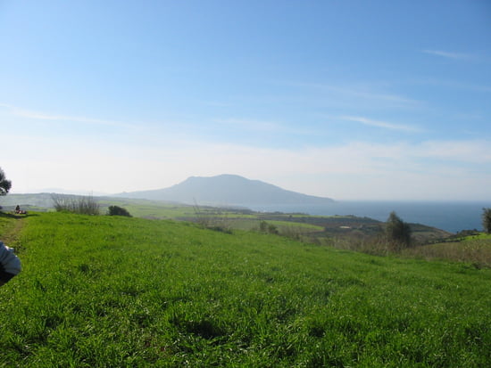 الجزائر كأنها أوروبا في جمالها من ثلوج وشوارع وشواطئ...حوالي 80 صورة  Autres-paysages-tipaza-algerie-1219366936-1201253