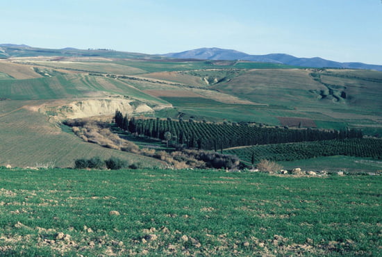 تحفة بلادي" تلمسان العريقة" Autres-paysages-tlemcen-algerie-1322690433-1347612