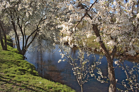 اروع الصور للطبيعة في فصل الربيع Berges-tarbes-france-1189179150-1176749
