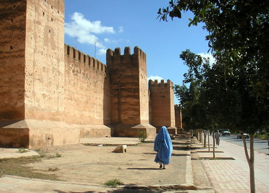 وزير الهجرة والاندماج الفرنسي يتفقد ثلاثة مشاريع تنموية بتارودانت Fortifications-taroudant-maroc-5871240497-611010