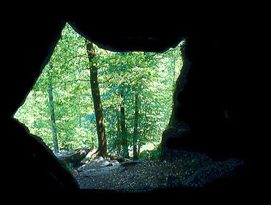 Tanière des guerriers Grottes-morlaix-france-7868310810-523411