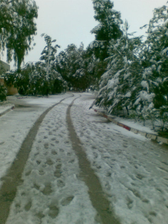  التقسيم الإداري للجزائر :وسر تسمية مدنها Neiges-tebessa-algerie-1211550793-1301583