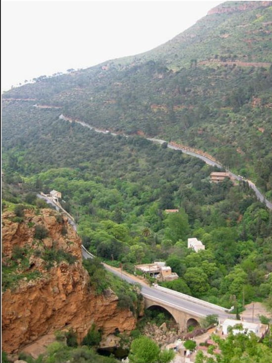 تلمســــــان ... ما أجملك يا تلمسان ! Parcs-naturels-tlemcen-algerie-1224127531-1328429