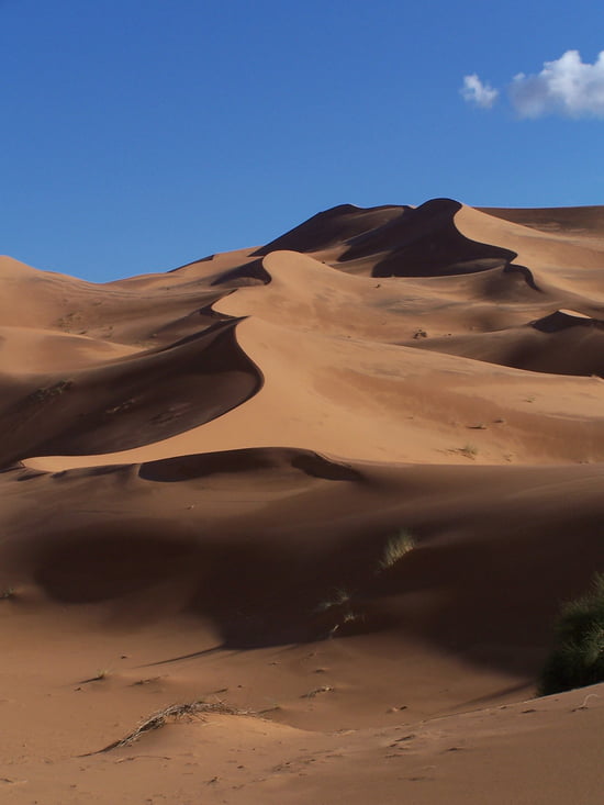 معلومات عن مدينة ارفود بالمغرب بالصور Sable-dunes-erfoud-maroc-6652032733-790278