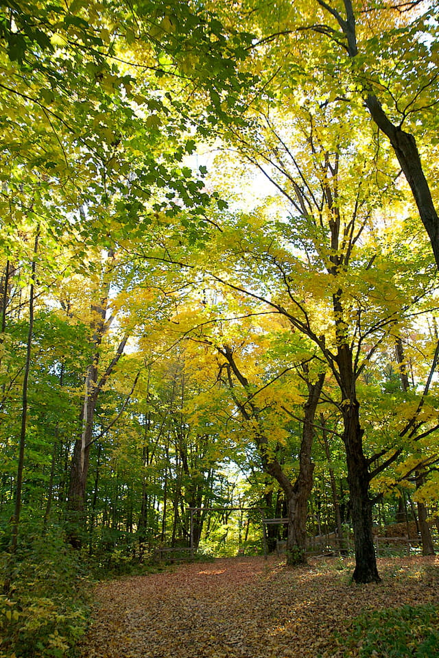 Canada /les photos 1673212