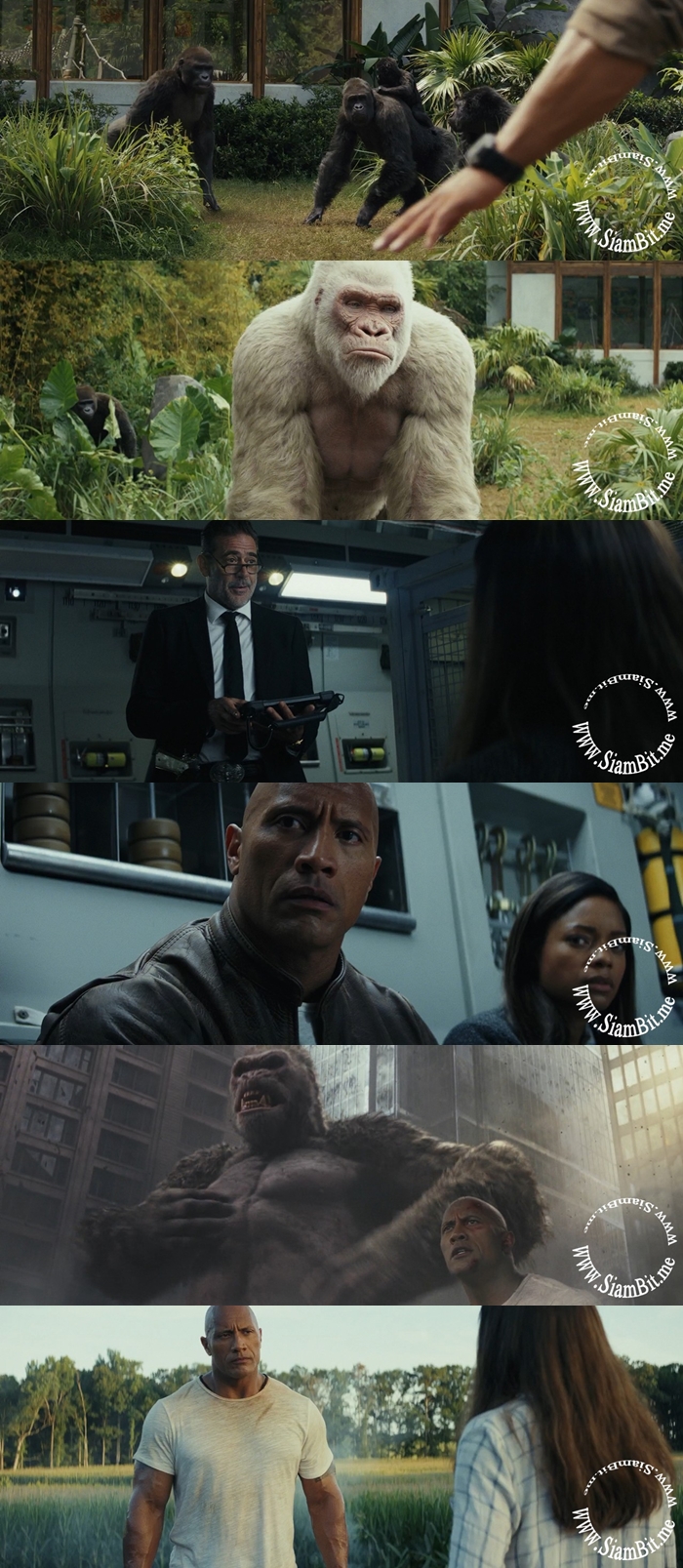 Rampage (2018) แรมเพจ ใหญ่ชนยักษ์ [1080p] [พากย์ไทยโรง 5.1 + เสียงอังกฤษ DD5.1] [บรรยายอังกฤษ] 180624044017