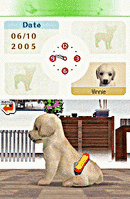 [nintendo DS]nintendogs Nintds088