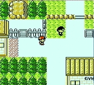 Pokemon : Version silver, gold (Gameboy) Pogsgb001