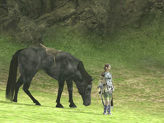 Shadow of the Colossus Wandp2050