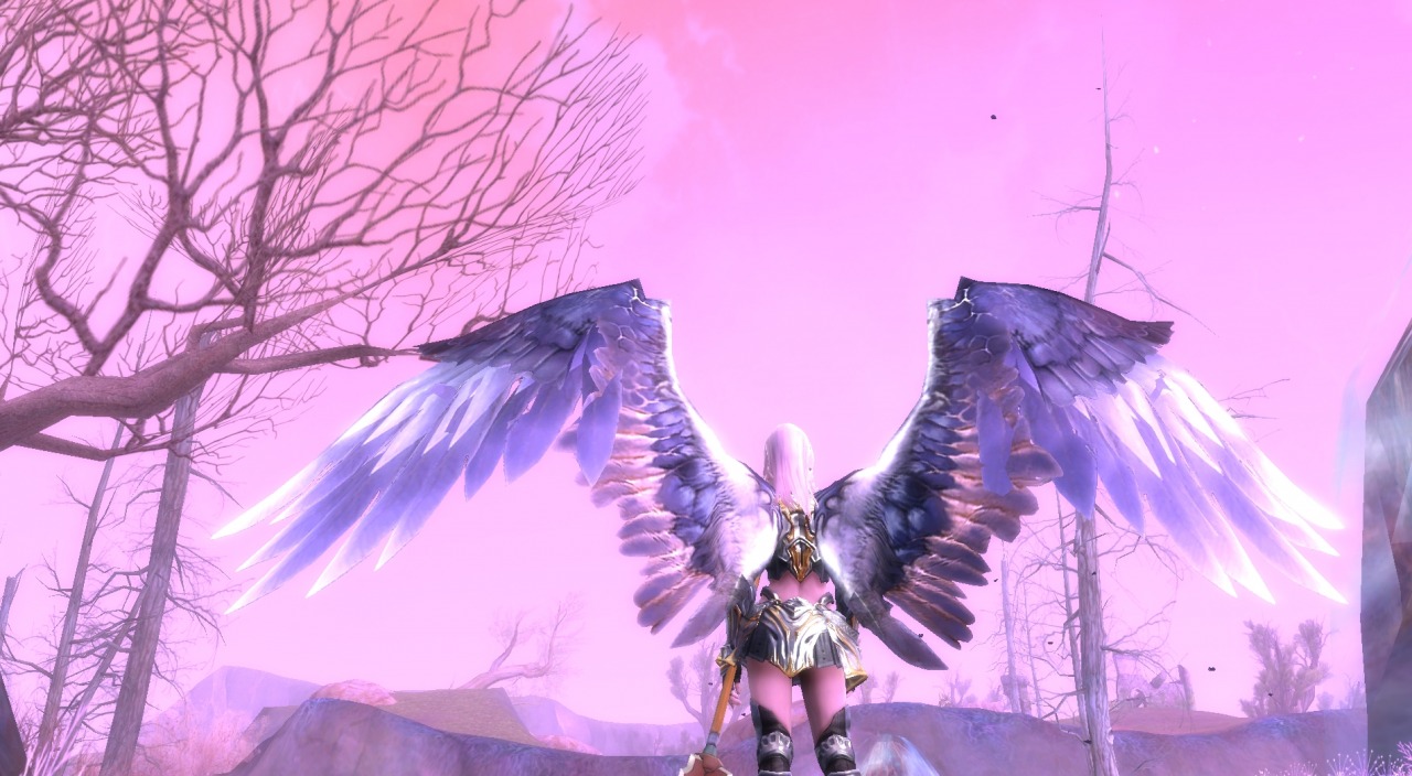 [JEU VIDEO] Aion : The tower of eternity Aionpc080