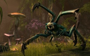 Infos pré sortie du jeu The-elder-scrolls-online-pc-1350995146-026_m