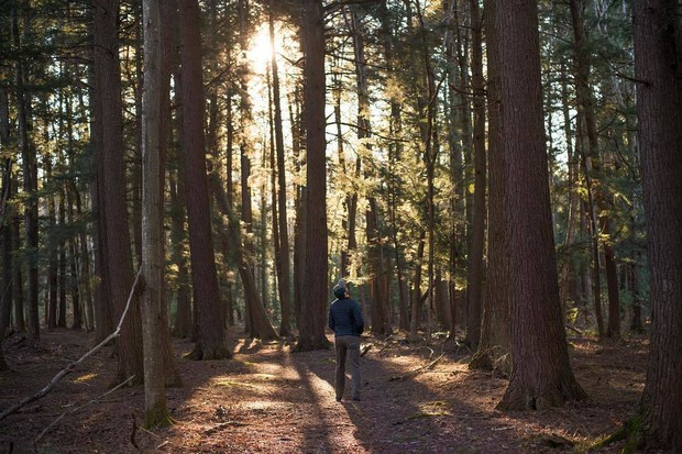 The Michigan State Parks Thread - Page 4 21689215-228968987633895-3908225101815873536-njpg-97668f6607c54977