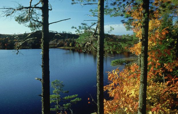 The Michigan State Parks Thread - Page 2 Porcupine-mountains-wilderness-state-park-56853aa799da8b95