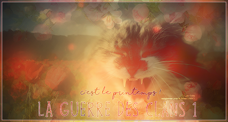 La Guerre des Clans