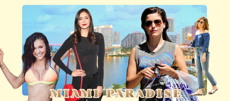Miami Paradise 