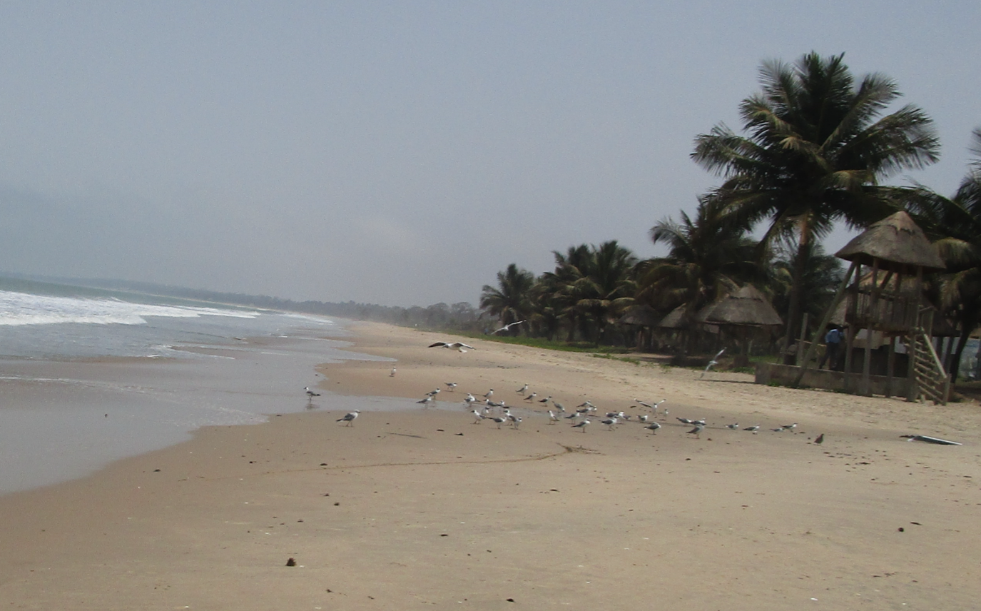 Urlaub Gambia 2017 - Seite 4 14287b91773b4f5299fa21405e4b4815