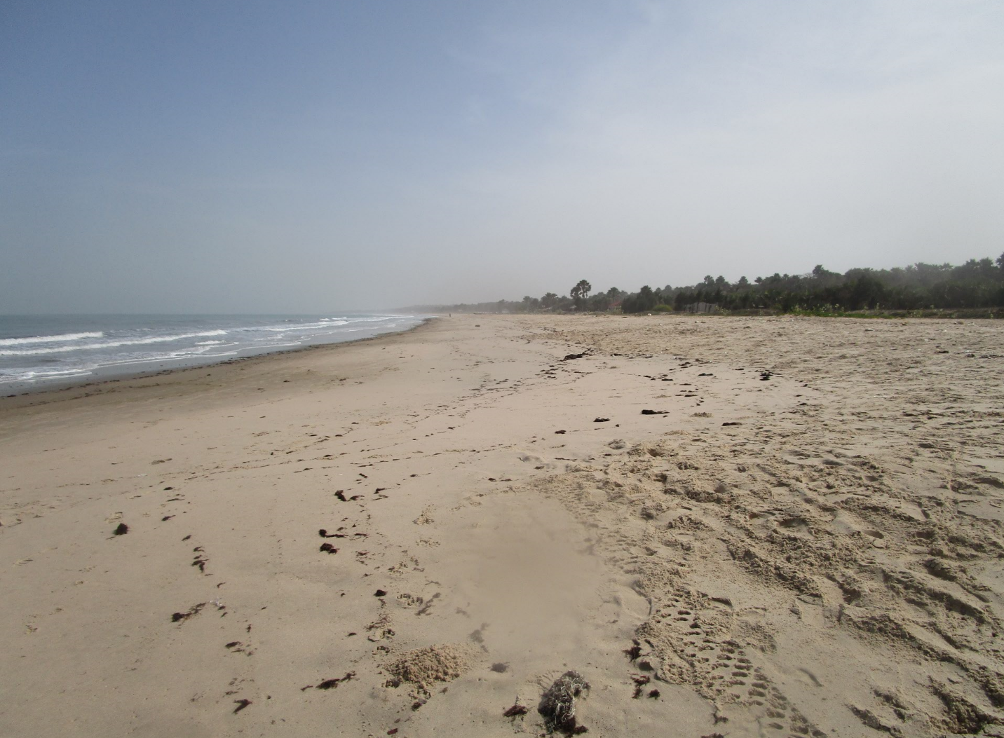 Urlaub Gambia 2017 7162c4ddf0f54dcd95d26a1598308b5d