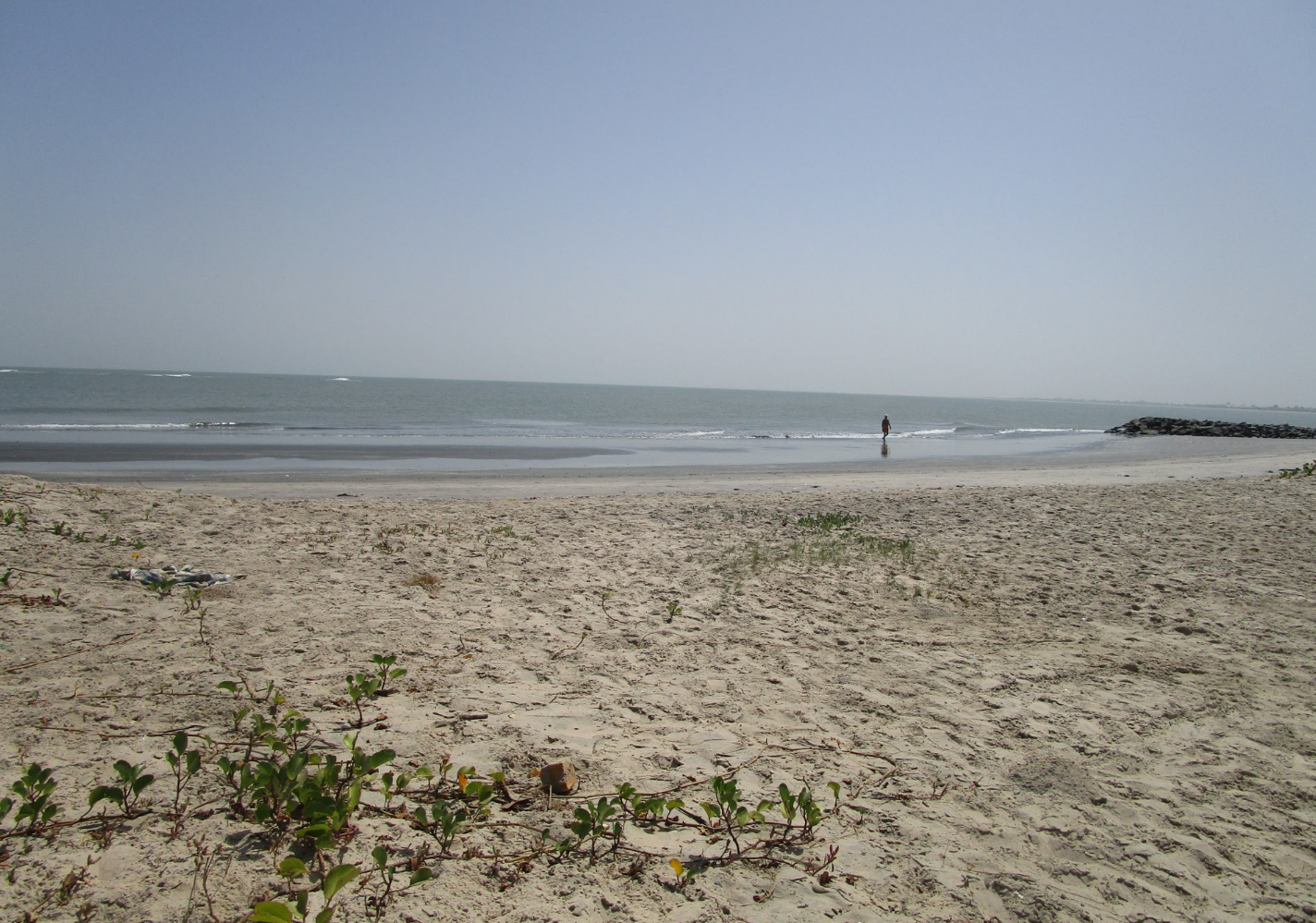 Urlaub Gambia 2017 - Seite 2 963f75efa8894c2797bffb4af525c2be