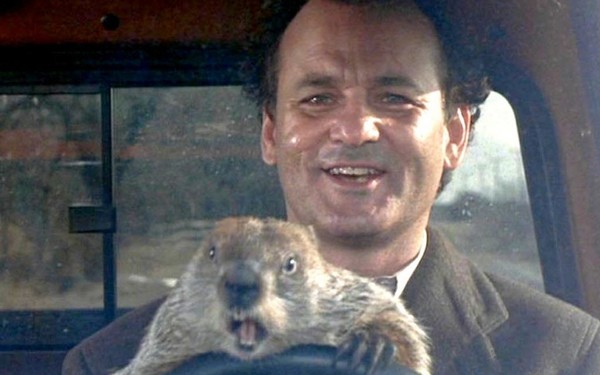 Long Range Thread 16.0 - Page 35 Groundhog-day-bill-murrayjpg-26978fbed7794bca