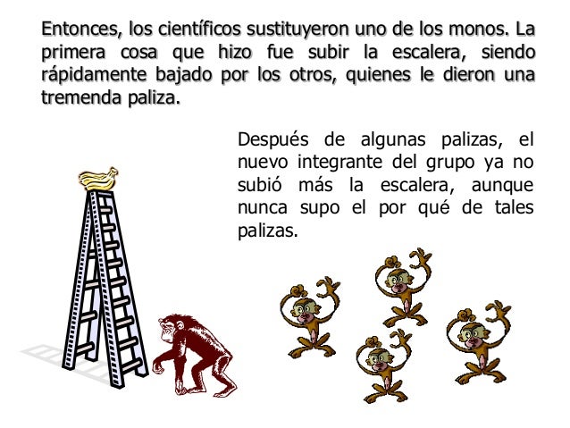 Cómo nace un Paradigma Cmo-nace-un-paradigma-6-638