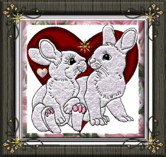 El regalo mágico del conejito pobre  Amor-animal03