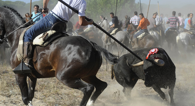 El toro de España 1379357887177torovega-fotogalc4