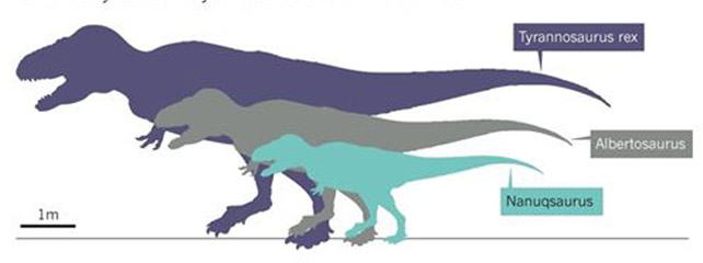 Hallan en el Ártico un diminuto dinosaurio primo del T - Rex 1394703357337dinos-galc4