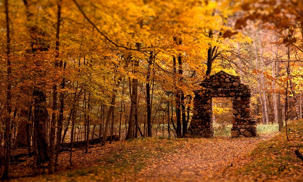 Paisajes otoñales Bosque-en-oto%C3%B1o-hd-1