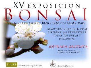 Exposición Club Bonsai Vigo marzo 2012. Jdv1334311313o